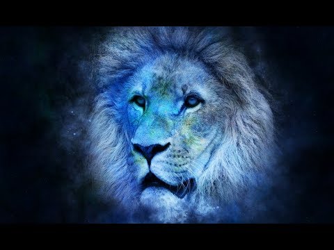 Лев во сне К чему снится лев?