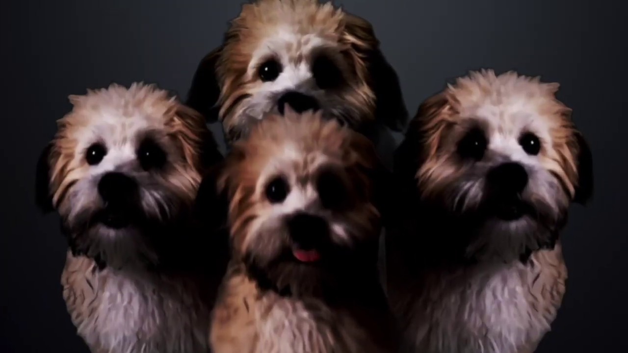 My Dog Recreates Bohemian Rhapsody Puppymian Rhapsody YouTube