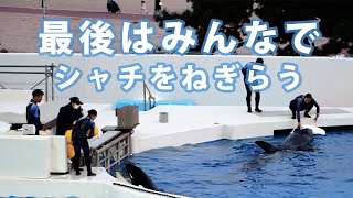 自作ジャグマス　67仕様　気になる方はコメントお願いします。 自作ジャグマス 67仕様 気になる方はコメントお願いします。 自作
