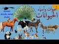 🦀 🦈🐪🦚🐩 🐈 🐍 🦃🐿 Sounds and Arabic names of animals  أصوات وأسماء الحيوانات