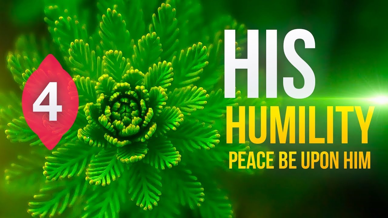 4- His humility | responding to Wilders' 