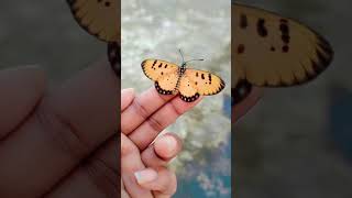 duniya ki addat hai jalna #entertainment #farming #butterfly #birds #farmerstruggle #animals