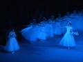 Natalia Osipova: Giselle changed into a Wili