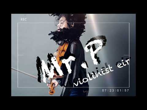 violinist eir ／Mr.P