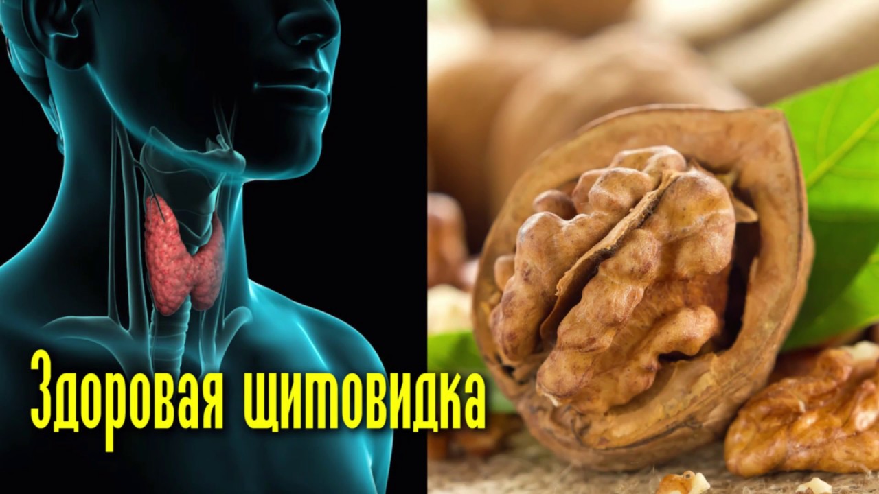ЛЕЧЕНИЕ ЩИТОВИДКИ ГРЕЦКИМИ ОРЕХАМИ