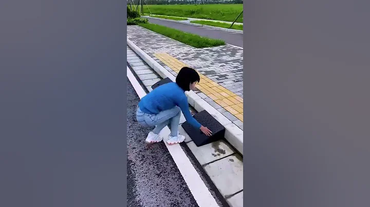 Car and motorcycle mats for steps