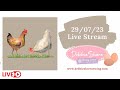 Debbie Shore's quick Live Stream 29/07/23