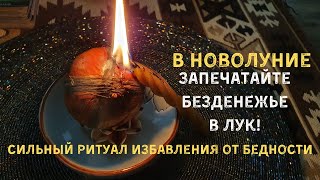 Отдайте слёзы бедности луку! Выход из денежной ямы в Новолуние | Самир Али |