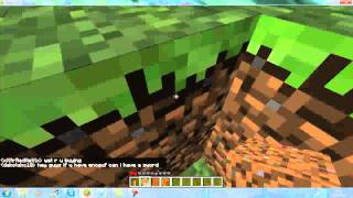 Minecraft: The Invincible PIG