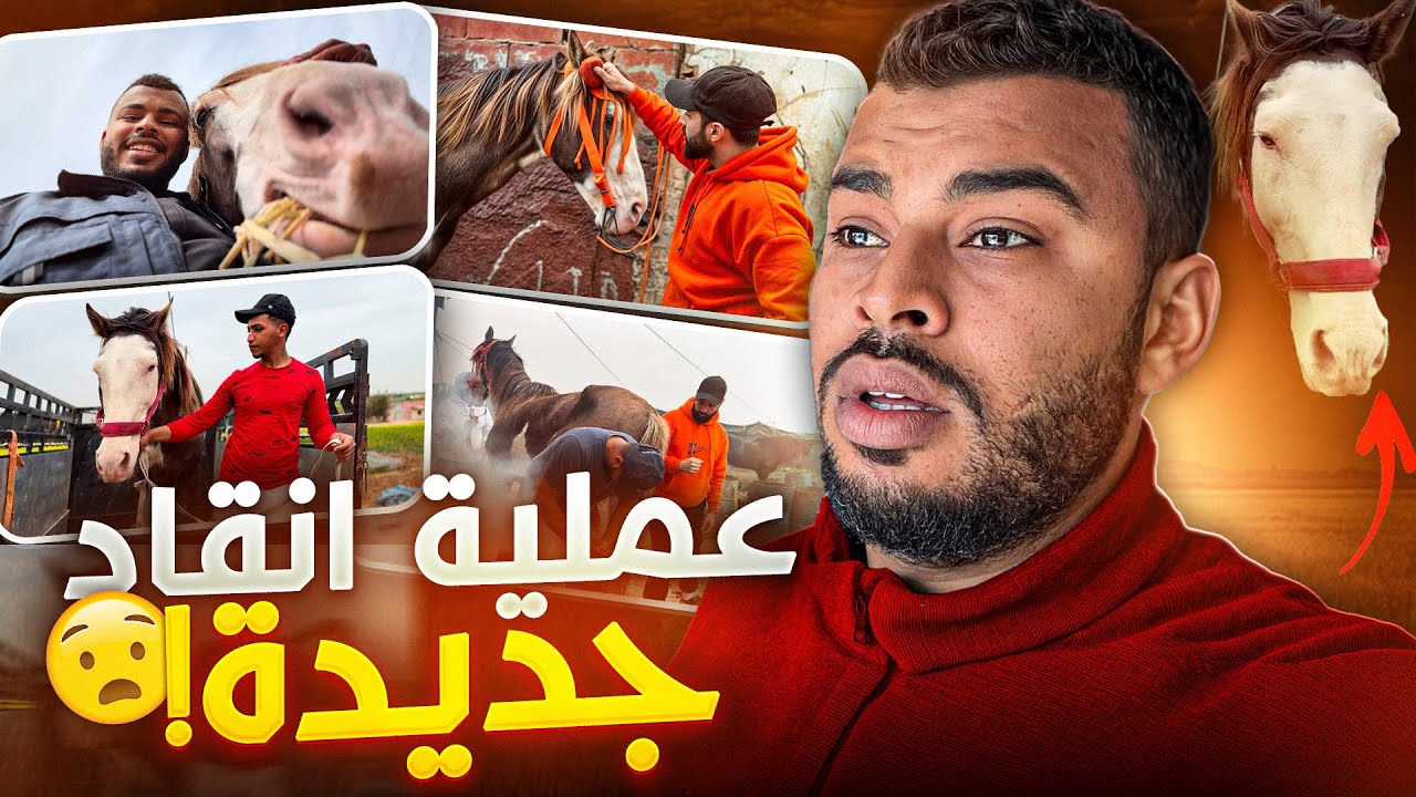 عملية إنـقـاذ جـديدة 🚨 حـصـان لـونه نـاذر كان غاذي لـگـزار 😢