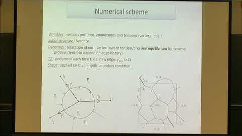 Prof. Isabelle Cantat | Gibbs elasticity effect in foam shear flows: a non quasi-static 2D numeri...