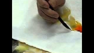 gold fish 金魚  2010 08 28