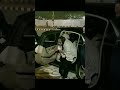 When Bangladesh PM Sheikh Hasina coming #shorts #viral