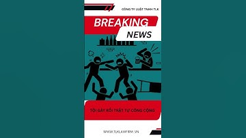TỘI GÂY RỐI TRẬT TỰ CÔNG CỘNG #news #hinhsu