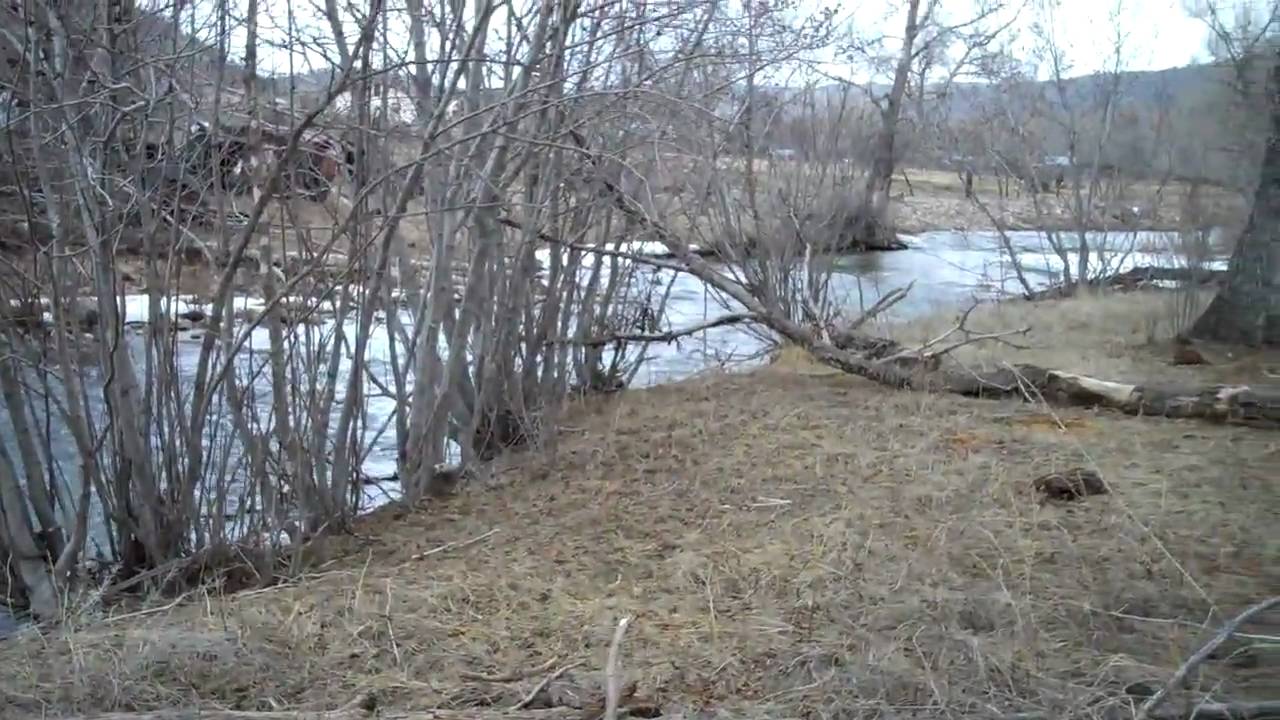 8+ acres located just south of the village of Vallecitos, NM.mp4 YouTube