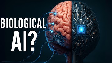 Living Computers Are Real. How Biocomputing Could Replace AI & Silicon Chips
