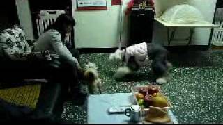 20100213-02