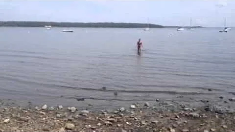 A Dog's First Swim by Tracy Courtemanche