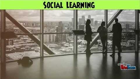 Learning, Perception and Attribution Part 1