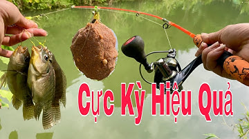 Cách Nắm Mồi Hiệu Quả cho Câu Lăng Xê, Câu Lăng Xê Cá Rô Phi - Hạnh Fishing