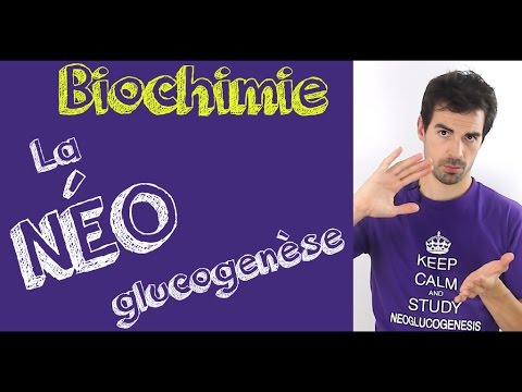 Vidéo: Quel est un exemple de voie biochimique ?