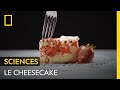Le cheesecake  votre pch mignon favori  food factory