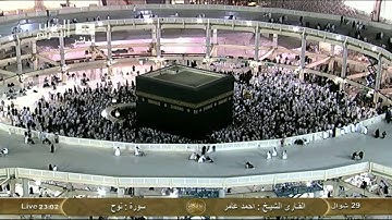 سورة نوح Nooh - أحمد عامر Saudi Quran HD