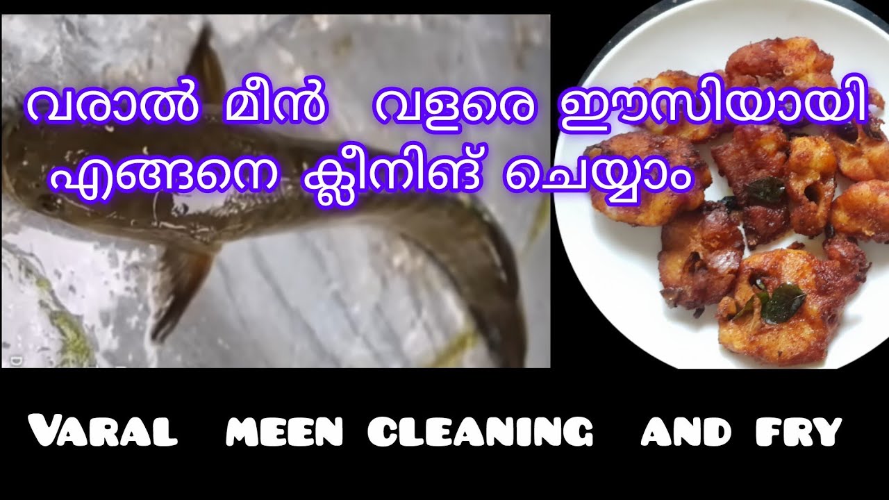 How to clean and cut varal fish in easy method/വരാൽ  മീൻ വളരെ എളുപ്പത്തിൽ നന്നാക്കി എടുക്കാം/meenfry