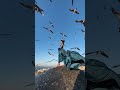Woman In Dress In Windy 20 Foryoupage Fyp Fy Windy Dress Wind Storm Sturm Love Woman In Dress In Windy 20 Foryoupage Fyp Fy Windy Dress Wind Storm Sturm Love