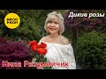 Нина Разумейчик - Дикие розы (Official Video, 2025)