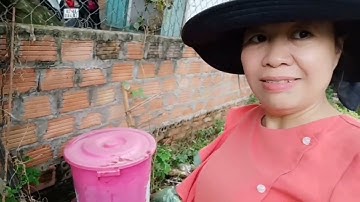 @ làm vườn t4: cách tôi xử lý mùi hôi của thùng rác nhà bếp...