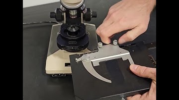 Mastering the Olympus BH2 Microscope: Setup, Use & Functions with Chad Potts!