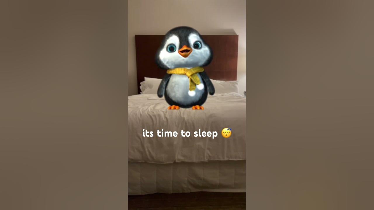Good night #iloveyou #timetosleep #goodnight #cuteanimals #penguin