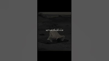 سورة المزمل | اكتب شيء تؤجر عليه🤍🎧