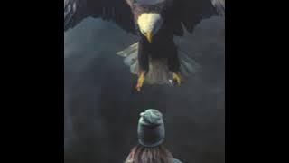 Believer  remix | bgm | WhatsApp status | trapcity