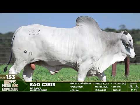 LOTE 153