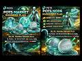 POTS.money Plan Explained Step by Step | Passive Income DeFi