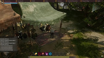 Ashes of Creation - Alpha 1 testing 2160p60 4k - Be prepared for BUGS! :)