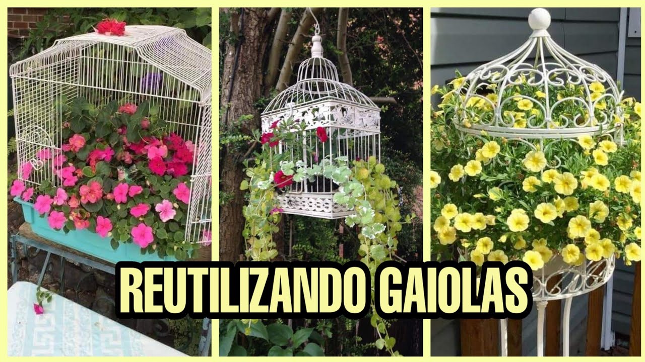 GAIOLAS NA DECORAÇÃO, VC VAI AMAR🥰