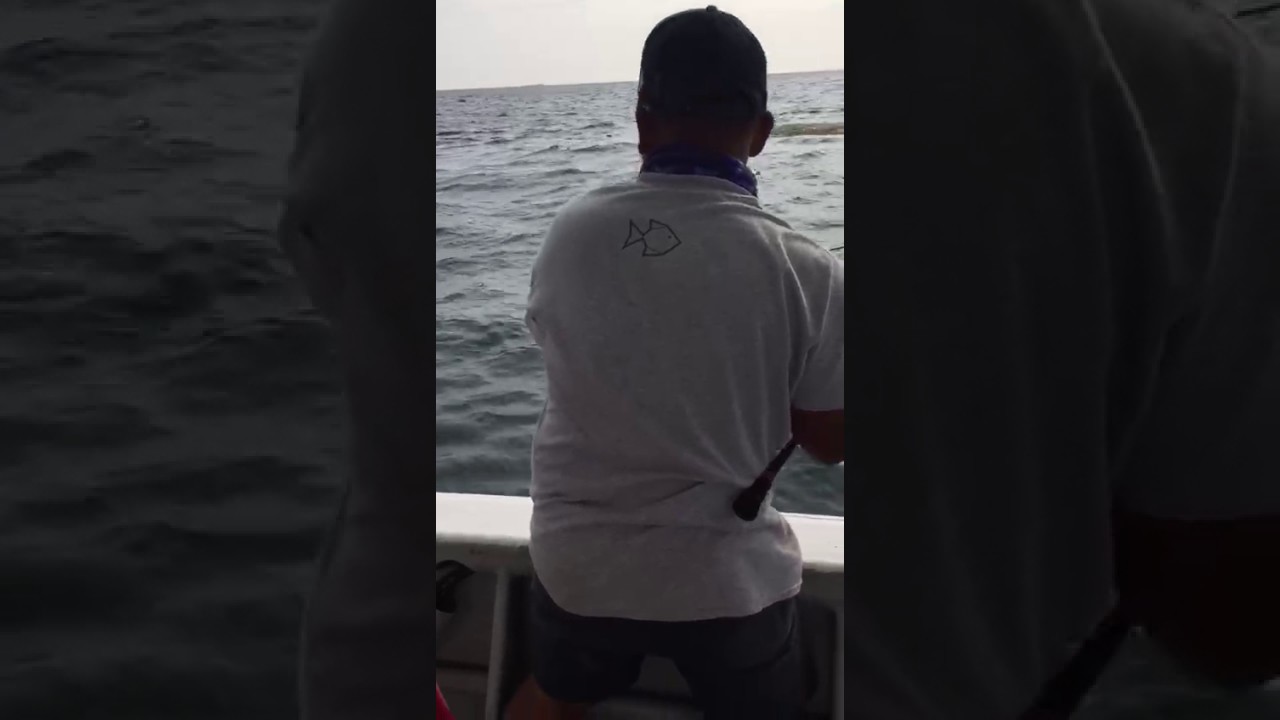 Shimano Twin Power 5000 VS Spanish Mackerel