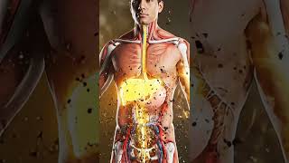 Turmeric Black Pepper Drink Powerful Anti-Inflammatory Detox! #3danatomy #seniorhealth #turmericmilk