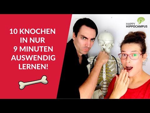 Video: Welche der folgenden Knochen bilden den Oberkiefer?