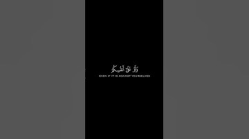 مَن كانَ يُريدُ ثَوابَ الدُّنيا || كروما قران كريم شاشة سوداء || احمد بن طالب