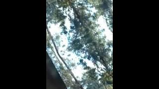 Sarakasi za hatari duniani