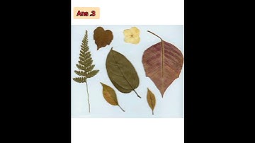 Class 7th || Science Worksheet 16|| Hindi Medium ||09/09/2021.