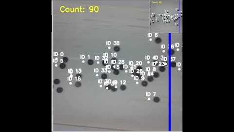 Candy Counting  Demo