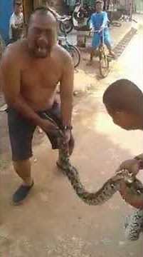 Ular lapar makan penis org gilaj
