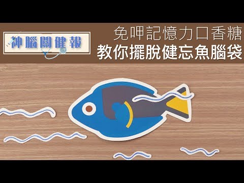 神腦關健報 - 不用記憶力口香糖，教你擺脫健忘魚腦袋！