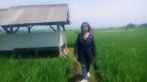 jawaban terbayang bayang
