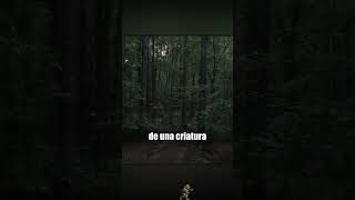 Pánico del bosque #misterio #historia